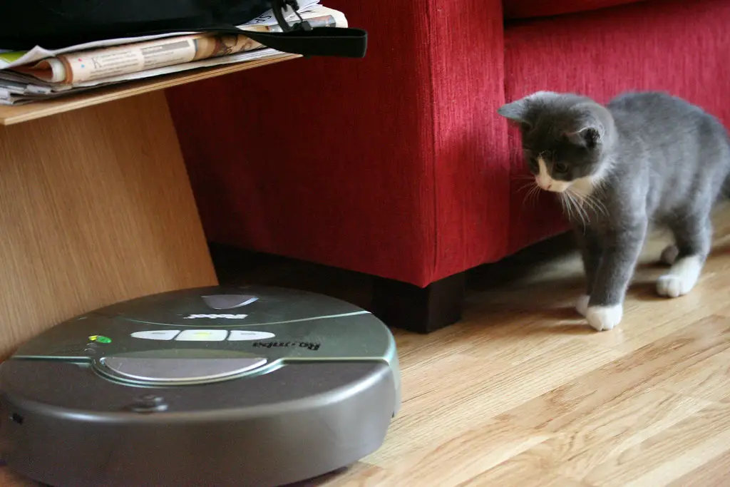 Problems And Solutions To Having A Cat And A Roomba — Living Smarter