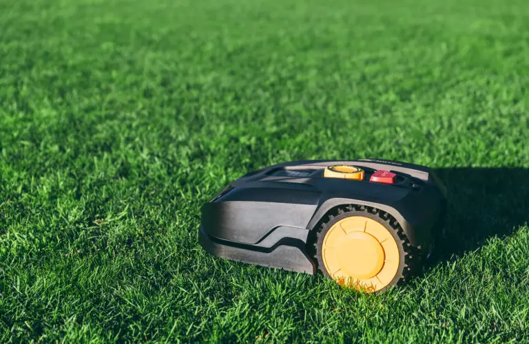 Robot Mowers vs. Lawn Mowers: Which Is Better for Your Lawn?