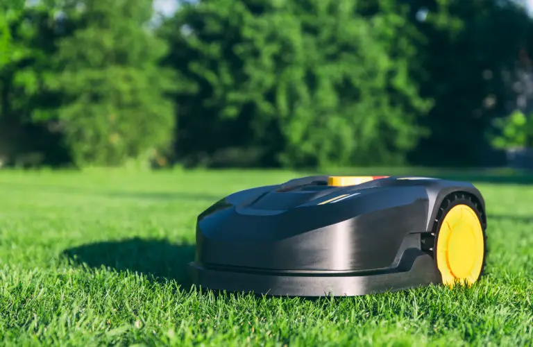 Top 5 Reasons Why You Should Get a Robot Lawn Mower