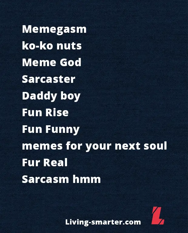List of Funny Meme Usernames