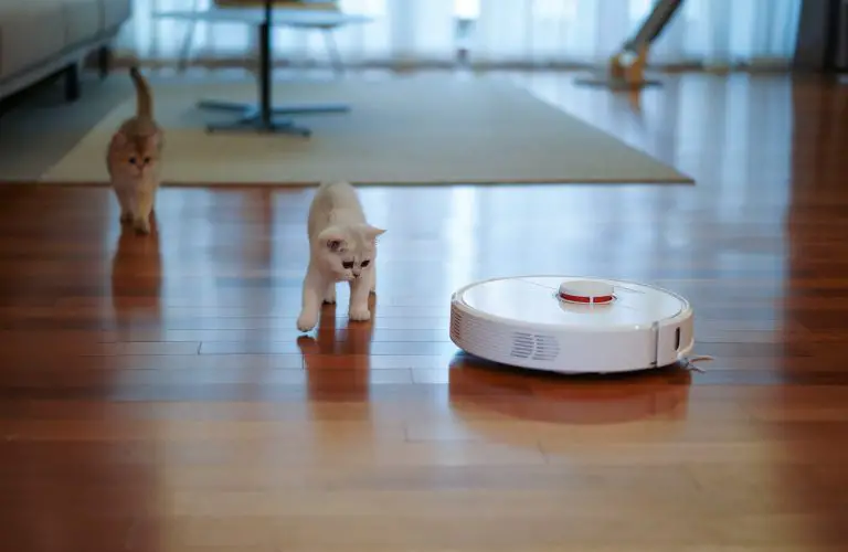 Debunking the Common Myths about Robot Vacuums